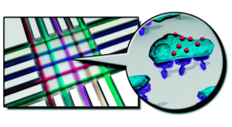 chemical-cell interactions