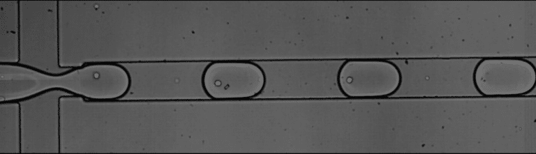 Cell encapsulation experiment