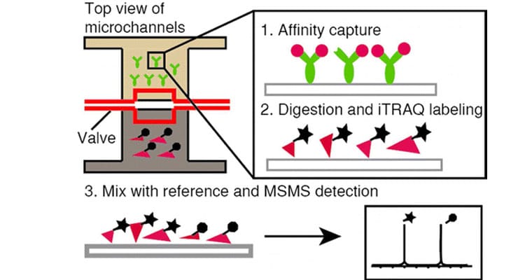 Proteins-in-single-cell-Fluigent