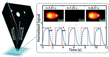 Delivery of dispersed interfaces surface chemistry