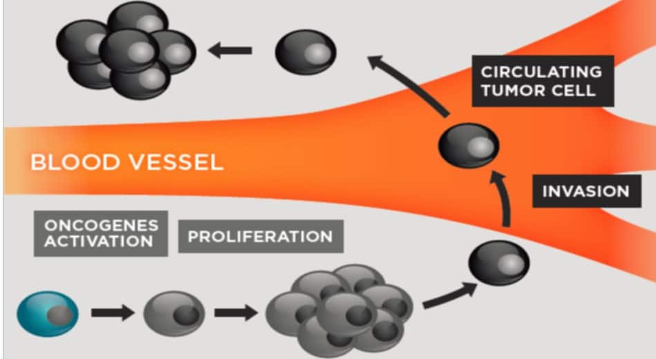 tumor-cell-circulating