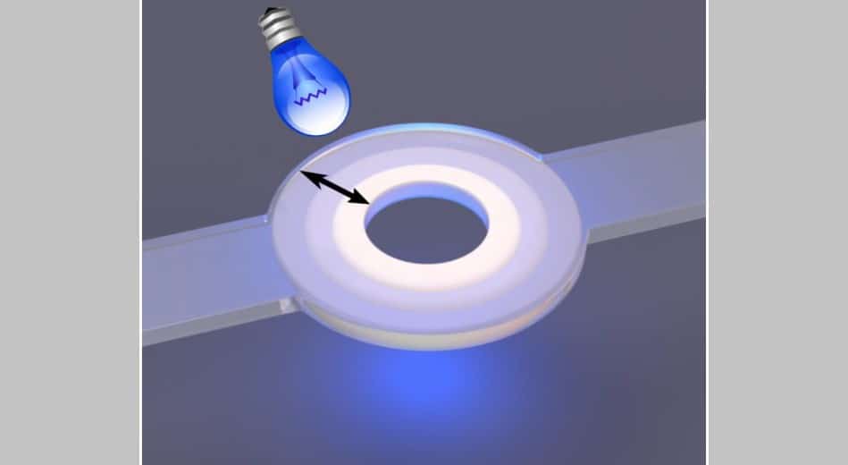 light-hydrogel-valves