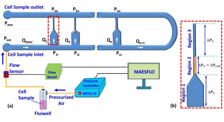 microfluidics-scheme-phenotyping-cells