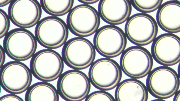 Resin microcapsule
