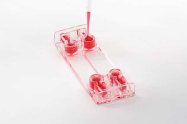 be double flow chip beonchip