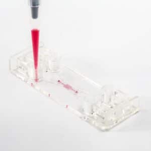 Be Gradient Chip-Beonchip